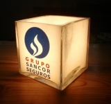 Bergese Seguros
